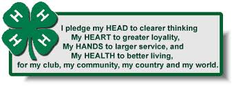 4h pledge